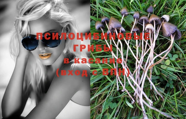 героин Няндома