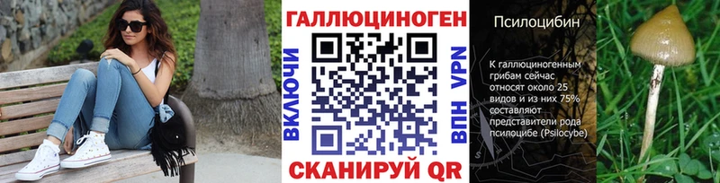 Купить где  Кизляр  Псилоцибиновые грибы прущие грибы 